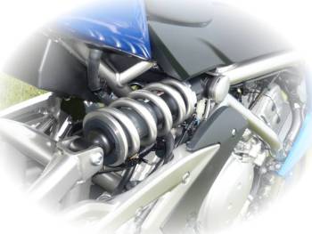 Kawasaki ER-6n Federbein